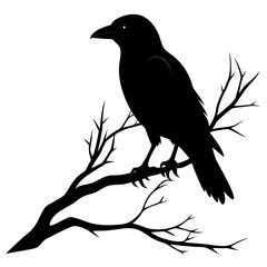vector illustration of a crow