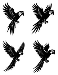 Obraz premium Four black and white parrot illustrations in different flight positions