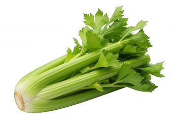Fresh green celery stalks with leaves isolated on a transparent background