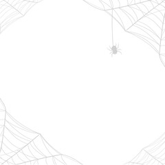 Hanging Spider on White Web Background
