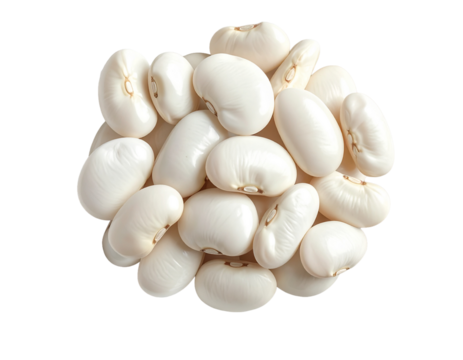 Large White Lima Beans (Butter Beans) - Dried Premium Legumes for Soups, Stews, and Side Dishes