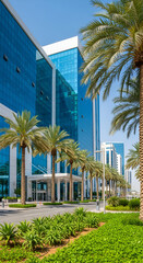 Modern architecture in Abu Dhabi with palm trees and blue glass facade.
