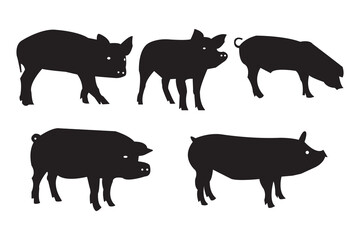 Set of pig silhouettes in different poses. Vector illustration of farm animal shapes isolated on white background for design, logo, or graphic use.