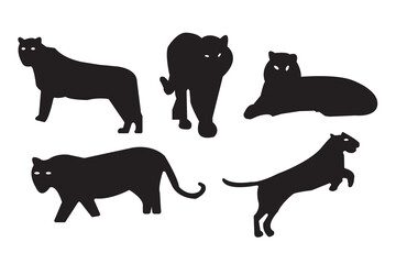 Black panther and big cat silhouettes collection. Vector illustration of tiger, leopard, and lion shapes in various poses isolated on white background.