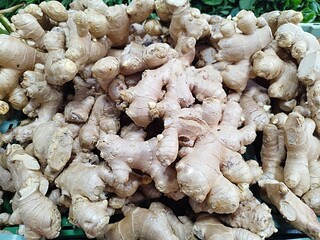 Ginger is a type of herb for seasoning food that is fragrant and good for health