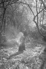 Woman in black dress standing in misty forest with soft sunlight filtering through trees.