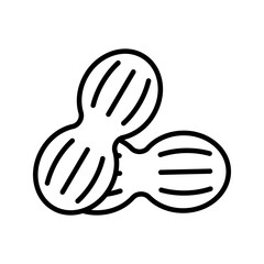 Peanut icon on white background
