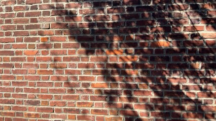 Brick Wall Detail with shadow