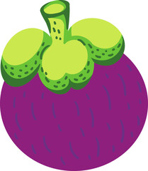 cute mangosteen tropical fruit vector cartoon illustration