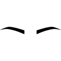 Eyebrows Bold Arch Shape. Black bold Eyebrows 