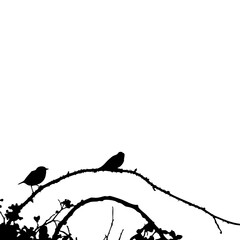 silhouette of a bird