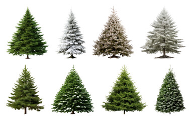 Obraz premium PNG Variety of snow-covered evergreen trees, element set on transparent background