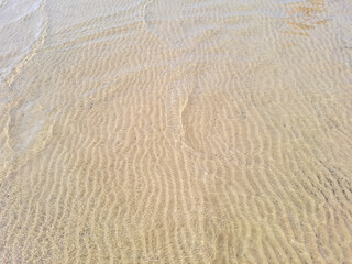 Top view of sandy beach texture with prints of exotic seashells and sea crabs