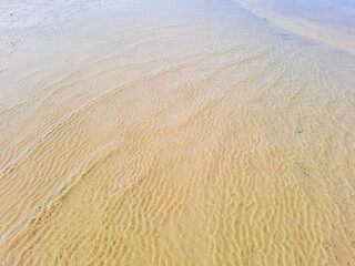 Top view of sandy beach texture with prints of exotic seashells and sea crabs