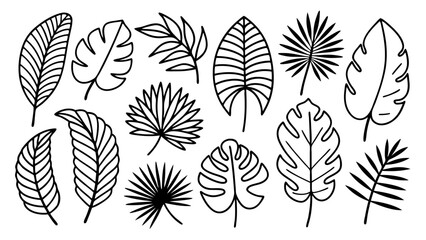 Tropical leaves line art bundle, Outline botanical vector icons including monstera, palm, banana, fern, palm fan silhouettes