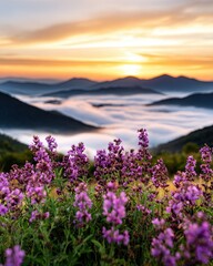 Breathtaking Sunrise Over Misty Mountains and Lavender Field