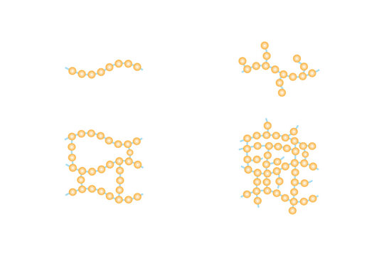 Types of Polymer Structure Science Design. Vector Illustration.