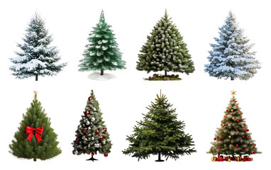 Obraz premium PNG Festive evergreen Christmas trees collection, element set on transparent background