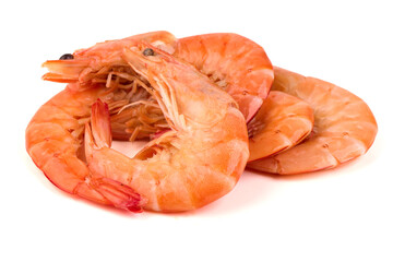 Cooked Shrimps, isolated on white background