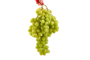 Green Grapes Held by Hand, isolated on white background