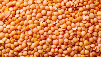 split masoor dal or lentils flat closeup