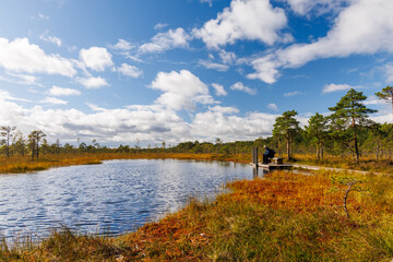Peaceful bog lake with wooden boardwalk and pine trees under a blue cloudy sky in autumn, tranquil Scandinavian nature scene ideal for hiking, ecotourism, and outdoor exploration
