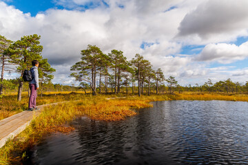 Female hiker standing on wooden boardwalk by swamp lake in Scandinavian autumn forest under cloudy sky, enjoying nature and solitude, concept of hiking and outdoor adventure