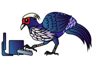 A kalij pheasant bird, Lophura leucomelanos, typing on a keyboard in front of a desktop with a monitor. Vector drawing. 