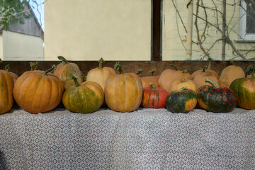 Seasonal display of pumpkins on harvest table