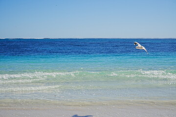 Lancelin Beach in Perth, Australia - オーストラリア パース ランセリンビーチ