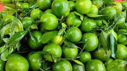 Close-up of Fresh Green Oranges citrus fruit