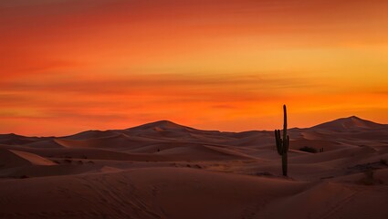 Sunset in the Desert with Cactus and Sand Dunes Landscape