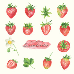 watercolor strawberry collection illustration set