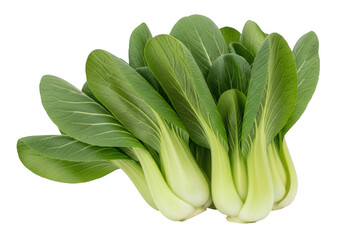 Fototapeta premium Fresh Green Bok Choy Bunch isolated on a transparent background
