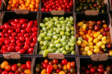 Variety of organic tomatoes at Torvehallerne market in Copenhagen, Denmark.