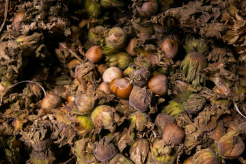 Organic hazelnuts at Torvehallerne market in Copenhagen, Denmark.