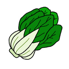 lettuce