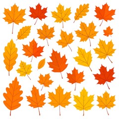 Autumn leaves collection (3)