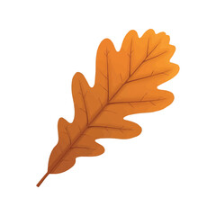 Brown oak leaf with curled edges and rich autumn tones isolated on white background