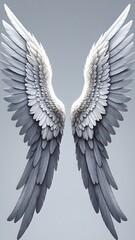 Pair of detailed angel wings