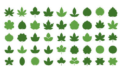 Fototapeta premium Collection of various green leaf shapes, showcasing diverse botanical forms for natureinspired designs and illustrations, ideal for ecological and environmental themes