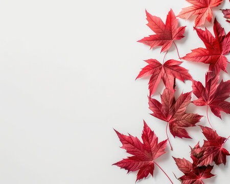 Vibrant red maple leaves arranged artistically on white background create striking visual contrast. rich colors evoke sense of warmth and beauty in nature - Powered by Adobe
