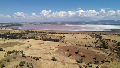 High-angle view of a pink lake and surrounding dry landscape