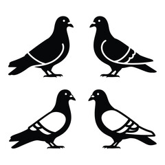 Four black silhouette pigeons standing facing each other in pairs creative art silhouette