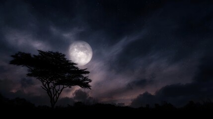 A lone acacia tree silhouetted against a luminous full moon in a cloudy night sky