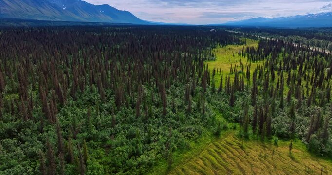 Swamps and pine tree forests crossed by the long straight highway. Majestic mountain range at backdrop. Flight above the wilderness of Alaska, USA.