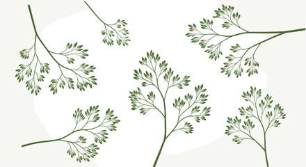 Fototapeta premium Elegant botanical branches with delicate green leaves for nature inspired designs.
