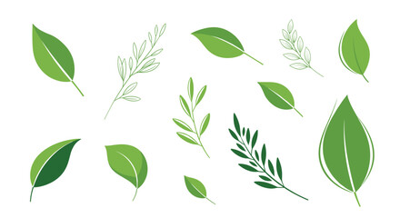 Naklejka premium A collection of various green leaves and branches with delicate details.