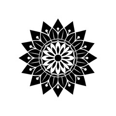 Detailed symmetrical floral mandala design on transparent background