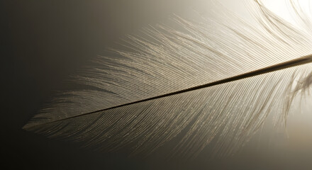 Feather Fine Detail